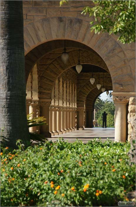 StanfordCampus-048c.jpg - for personal use