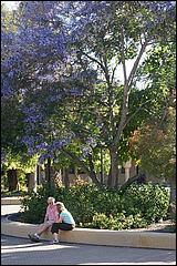 StanfordCampus-033b.jpg