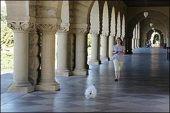 StanfordCampus-088b.jpg