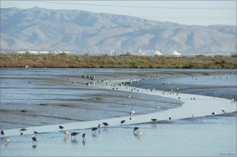 PaloAltoBaylands08-022b.jpg - for personal use