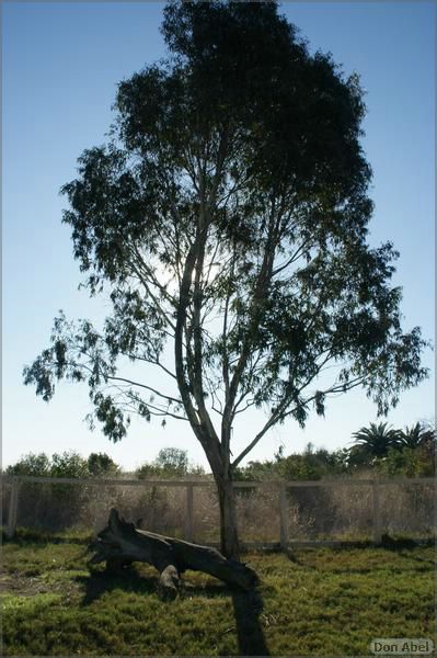 PaloAltoBaylands08-026b.jpg - for personal use