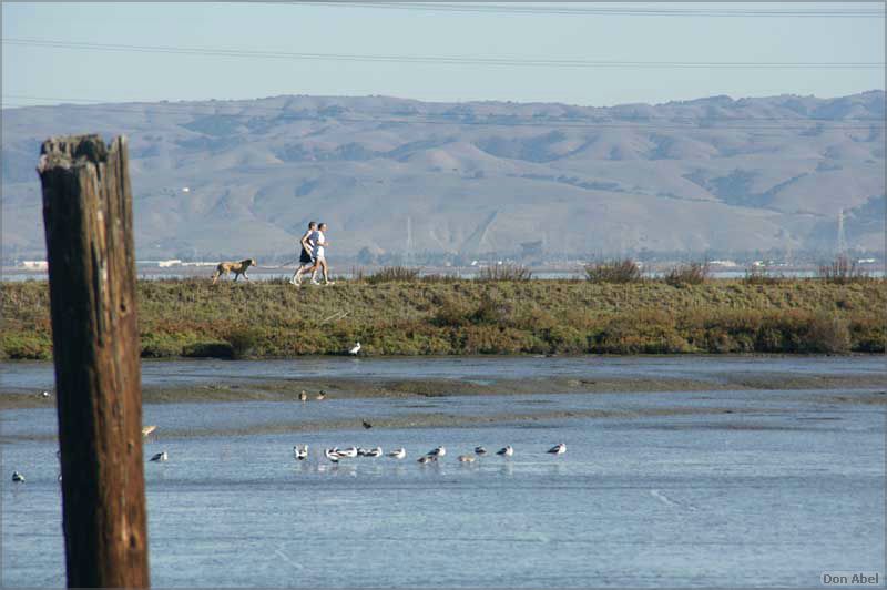 PaloAltoBaylands08-041c.jpg - for personal use