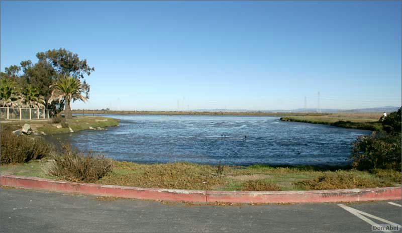 PaloAltoBaylands08-068c.jpg - for personal use