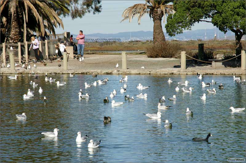 PaloAltoBaylands08-172c.jpg - for personal use