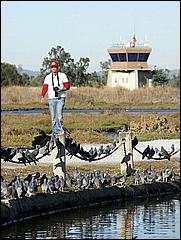 PaloAltoBaylands08-003c.jpg