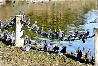 PaloAltoBaylands08-005c.jpg