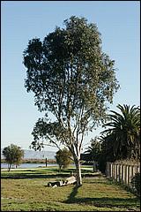 PaloAltoBaylands08-013b.jpg