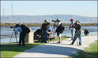 PaloAltoBaylands08-014d.jpg