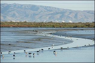 PaloAltoBaylands08-022b.jpg