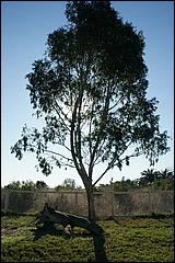 PaloAltoBaylands08-026b.jpg