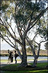 PaloAltoBaylands08-031c.jpg