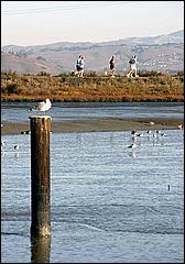 PaloAltoBaylands08-038c.jpg