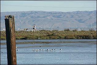 PaloAltoBaylands08-041c.jpg