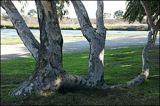 PaloAltoBaylands08-043b.jpg