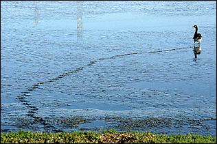 PaloAltoBaylands08-061c.jpg