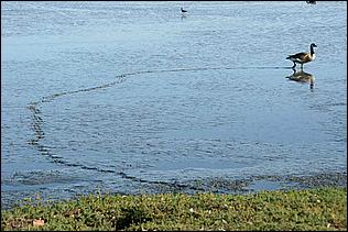 PaloAltoBaylands08-062c.jpg