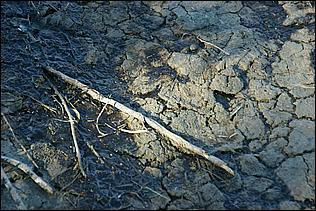 PaloAltoBaylands08-072b.jpg