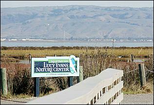 PaloAltoBaylands08-097d.jpg