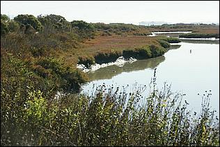 PaloAltoBaylands08-101b.jpg