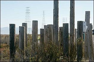 PaloAltoBaylands08-107c.jpg