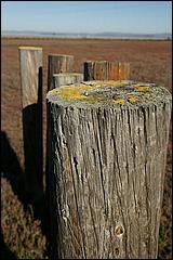 PaloAltoBaylands08-112b.jpg