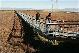 PaloAltoBaylands08-117b.jpg