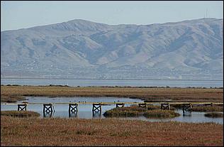 PaloAltoBaylands08-126c.jpg