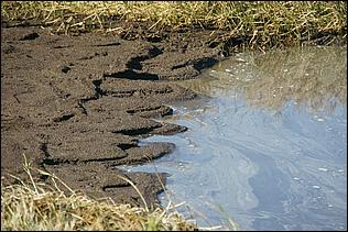 PaloAltoBaylands08-139b.jpg