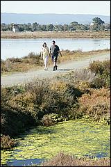 PaloAltoBaylands08-157b.jpg