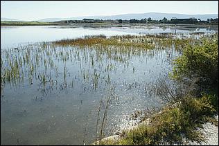 PaloAltoBaylands08-169b.jpg