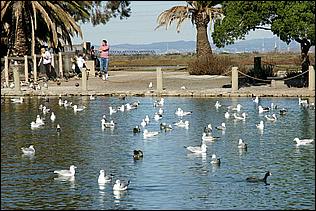 PaloAltoBaylands08-172c.jpg