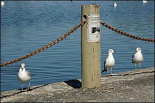 PaloAltoBaylands08-185d1.jpg