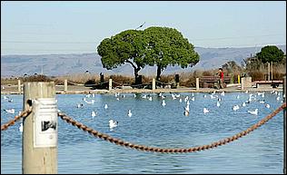 PaloAltoBaylands08-189c.jpg