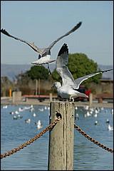 PaloAltoBaylands08-191b.jpg