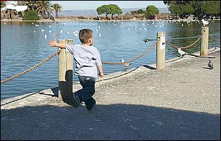 PaloAltoBaylands08-195c.jpg