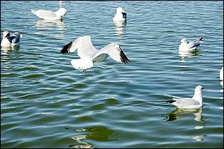 PaloAltoBaylands08-200c.jpg