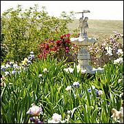 PrevostRanch-Gardens-005a-web.jpg