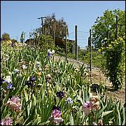 PrevostRanch-Gardens-021-web.jpg