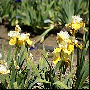 PrevostRanch-Gardens-043a-web.jpg