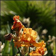 PrevostRanch-Gardens-069-web.jpg