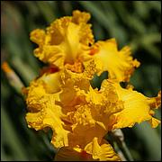 PrevostRanch-Gardens-073-web.jpg