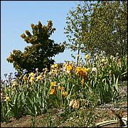 PrevostRanch-Gardens-146a-web.jpg