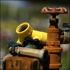 PrevostRanch-Gardens-030a-web.jpg