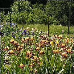 PrevostRanch-Gardens-076a-web.jpg