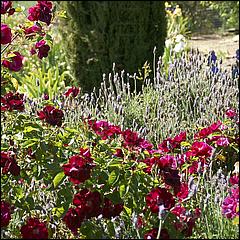 PrevostRanch-Gardens-137a2-web.jpg