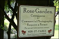 SJRoseGarden08-35b.jpg