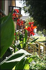SJHistoryPark08-18c.jpg