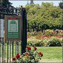 SanJoseMunicipalRoseGarden21-022a.jpg