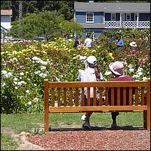 SanJoseMunicipalRoseGarden21-029a.jpg