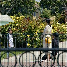 SanJoseMunicipalRoseGarden21-085a.jpg